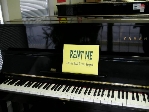 Tiện ích thuê đàn Piano cơ, Piano điện sử dụng tại nhà dài hạn, hoặc sử dụng cho các sự kiện trong ngày